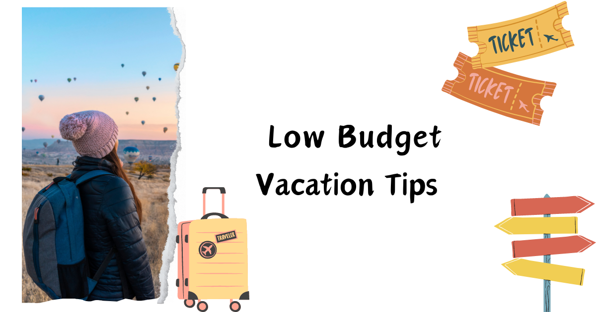 Budget vs Luxury: Choosing the Right Fleet