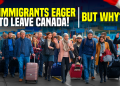 Why are new immigrants leaving canada ?
